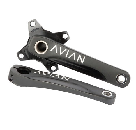 BIELAS AVIAN CADENCE